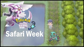 Pokémon Shining Pearl  Safari Week Shiny Hunt [upl. by Ariella792]