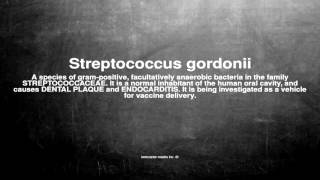 Medical vocabulary What does Streptococcus gordonii mean [upl. by Terris6]