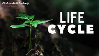 Abraham Hicks 2024  Life Cycle [upl. by Fitzpatrick]