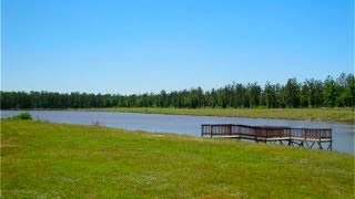 Peach Creek Plantation  Cleveland TX  Montgomery County [upl. by Dijam551]