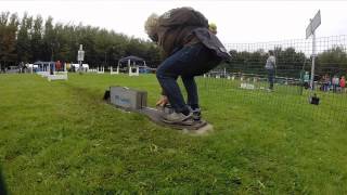 Flyball vanuit de ogen van de hond [upl. by Youngman]