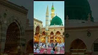 MADINA STUTS viralvideo short [upl. by Nehtan350]