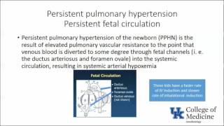 Keyword Review Pediatric Anesthesia Part 1  Dr Reddy [upl. by Brower989]