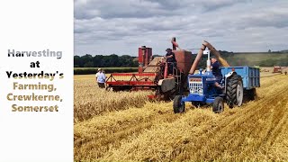 Harvesting at Yesterdays Farming near Crewkerne Somerset [upl. by Latoye]