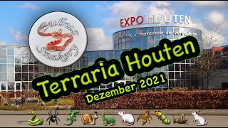 Terraria Houten Dezember 2021  Reptilienbörse  reptile show [upl. by Nyrehtac]