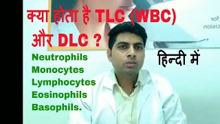 TLC or WBC and DLC test in hindi [upl. by Aidin]