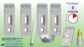 Salmonella typhi Antigen Test [upl. by Georgie363]