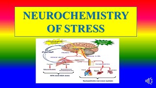 NEUROCHEMISTRY OF STRESS  psychology  Applied psychology for Nursing [upl. by Zilef882]