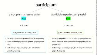 Latijnse grammatica uitleg participium [upl. by Suedama62]