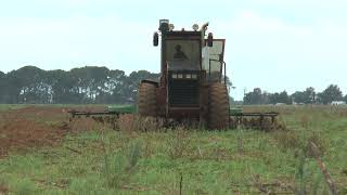 ACO 250 with V8 twin turbo  great straight pipes sound  pulling disc harrow in South Africa [upl. by Euqirne]