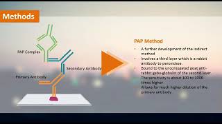 peroxidase and anti peroxidase method vedio [upl. by Wier]