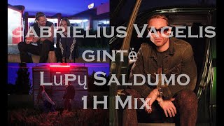 Gabrielius Vagelis Gintė  Lūpų Saldumo 1h mix [upl. by Raclima]