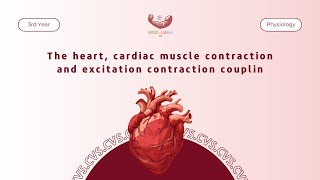 Physiology  The heart cardiac muscle contraction and excitation contraction coupling [upl. by Leachim]