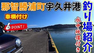 【釣り場紹介】和歌山県 那智勝浦町【宇久井港】グレ、アジ、キス、チヌ等が釣れるポイント 水中映像有り [upl. by Fran]