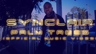 🐺 SYNCLAIR  🌴quotPalm Treesquot 🌴 OFFICIAL MUSIC VIDEO [upl. by Alarise331]