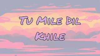 Tu Mile Dil Khile  Lyrics [upl. by Nehcterg]