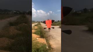 Thả diều sáo đại trà cõng giàn sáo gì đây các bạn vietnamkite kite xuhuong youtubeshorts [upl. by Anawat146]