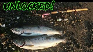 Top Beaches for Puget Sound Salmon [upl. by Tolkan142]