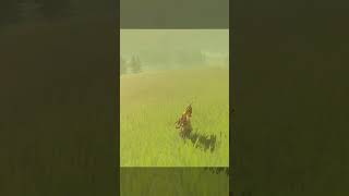 Slide on the grass in Zelda BOTW  Zelda Breath of the Wild viral Zelda botw shorts [upl. by Nitnert204]