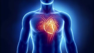 Antiarrythmic Drugs Part 1 The Physiology of Heart Rhythm [upl. by Jeconiah]