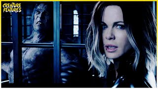 Underworld Blood wars Rescuing Selene HD CLIP [upl. by Akeinahs462]