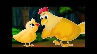 El cuento del pollito  Cuentos infantiles [upl. by Giffard]