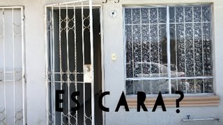 Casa INFONAVIT una recámara 350 mil pesos‼️ [upl. by Atrahc]