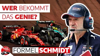 Adrian Newey wirft bei Red Bull hin  Formel Schmidt 2024 [upl. by Adlemi580]