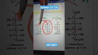 Glucose MannoseGalactose [upl. by Menard]