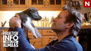 Praktisk info  Jon er på utkikk etter en hund  discovery Norge [upl. by Ethelyn]