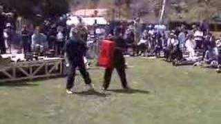 Su Dong Chen World Tai Chi Day demo 1 [upl. by Nosral]