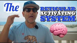 Reticular Activating System Explained  How to Use This Manifestation SUPERPOWER Law of Attraction [upl. by Tneciv449]