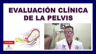 PELVIMETRÍA Evaluación clínica de la pelvis en el EMBARAZO ESTRECHEZ PÉLVICA ¿Puede PARIR [upl. by Deanna74]