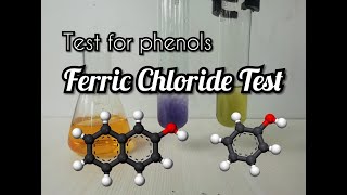 Ferric Chloride test for Phenols [upl. by Yuzik]