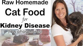 Homemade Cat Food for Kidney Disease Diet raw easy inexpensive [upl. by Moclam]