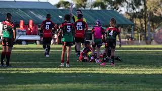 U11 Div 1 Rugby League  Colyton vs St Clair RD10 2023 [upl. by Novel610]