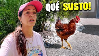 Así Celebramos el Cumpleaños de Harolin 😅 Sandra Cires Vlog [upl. by Lamoureux]