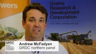 McFadyen advocates practical research to combat challenges [upl. by Ardnahc372]