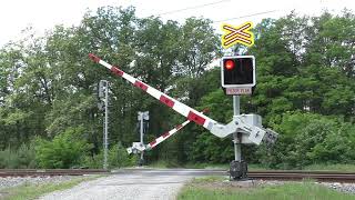 Železniční přejezd StéblováČeperka 2 CZ  862024  Railroad crossing [upl. by Corbie]