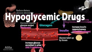 Pharmacology Oral Hypoglycemic Drugs Animation [upl. by Castorina198]