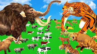 Giant Tiger Zombie Wolf Tiger Attack Cow Cartoon Buffalo Save By Woolly Mammoth Elephant Vs Dinosaur [upl. by Ayerim]