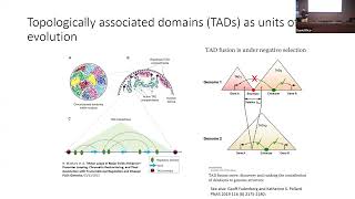 SORS How Gene Positioning Shapes Cell Identity and Oncogenesis [upl. by Stephine47]