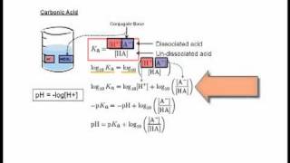 33 HendersonHasselbach Equation [upl. by Oilasor355]