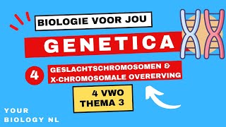 4 vwo  Genetica  4  Geslachtschromosomen amp Xchromosomale overerving [upl. by Femi]