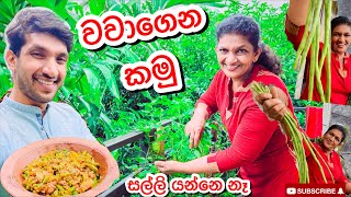 සල්ලි නැතුව මෑ කරල්  Sangeeth VlogsSangeeth Satharasinghe [upl. by Roscoe]