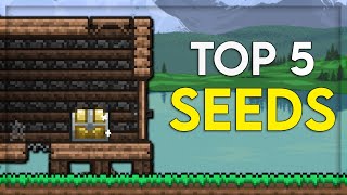 Top 5 CRAZIEST Terraria Seeds [upl. by Diandre436]