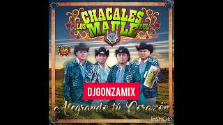 Mix Los Chacales Del Maule  Alegrando Tu Corazón DjGonzaMix [upl. by Adivad]