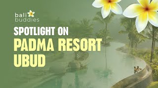 Spotlight on Padma Resort Ubud [upl. by Solley]