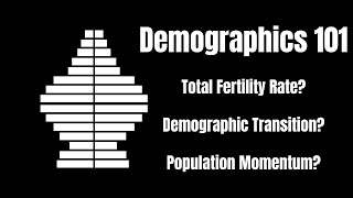 How to Know Your Way Around the Population Collapse [upl. by Inaj796]