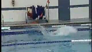 High School Swimming  Sylvania Southview vs Toledo Central Catholic [upl. by Nayrbo256]